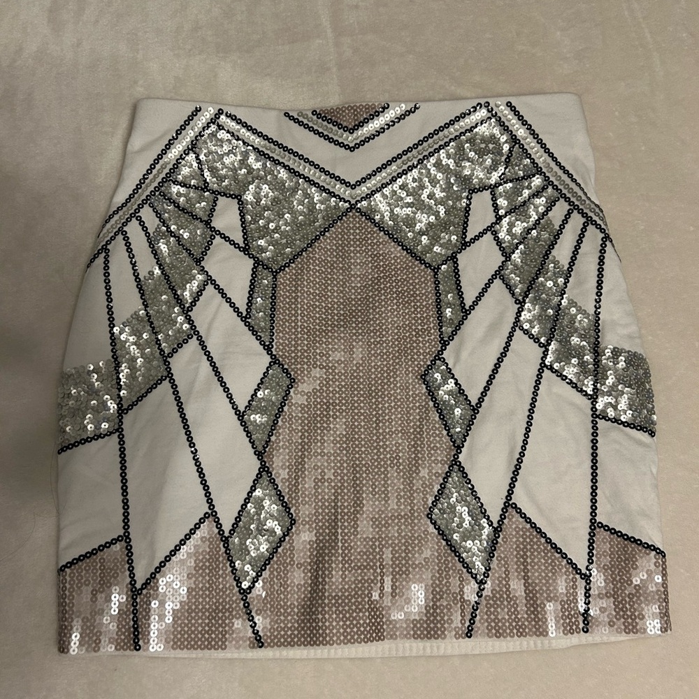 NWT Expresss skirt